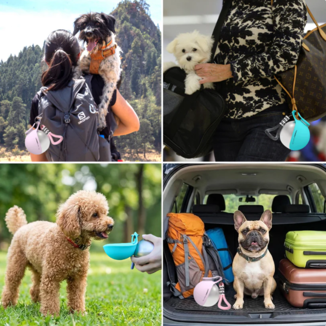 Botella de agua portátil para perros