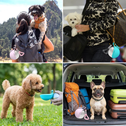 Botella de agua portátil para perros